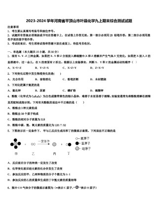 2023-2024学年河南省平顶山市叶县化学九上期末综合测试试题含解析.doc