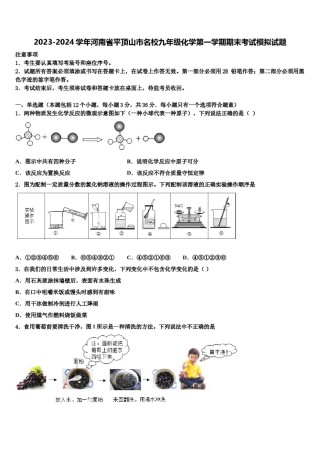 2023-2024学年河南省平顶山市名校九年级化学第一学期期末考试模拟试题含解析.doc