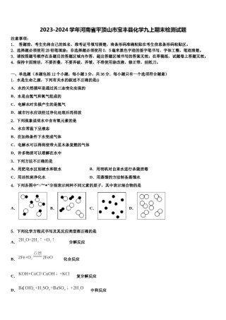 2023-2024学年河南省平顶山市宝丰县化学九上期末检测试题含解析.doc