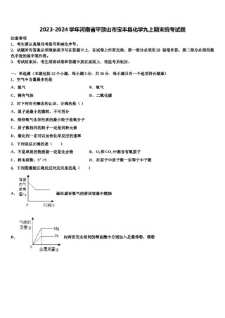 2023-2024学年河南省平顶山市宝丰县化学九上期末统考试题含解析.doc