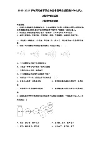 2023-2024学年河南省平顶山市宝丰县观音堂初级中学化学九上期中考试试题含解析.doc