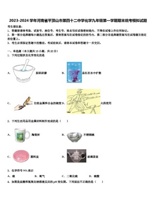 2023-2024学年河南省平顶山市第四十二中学化学九年级第一学期期末统考模拟试题含解析.doc