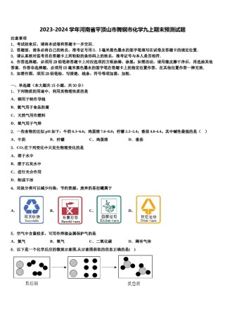 2023-2024学年河南省平顶山市舞钢市化学九上期末预测试题含解析.doc