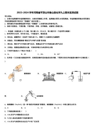 2023-2024学年河南省平顶山市鲁山县化学九上期末监测试题含解析.doc