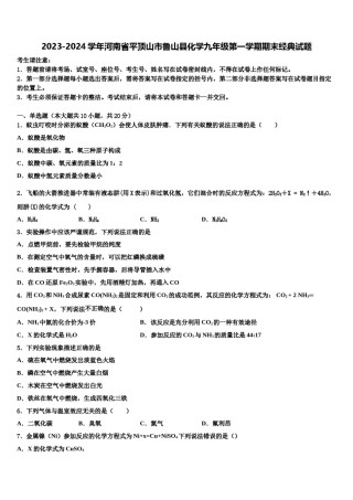 2023-2024学年河南省平顶山市鲁山县化学九年级第一学期期末经典试题含解析.doc