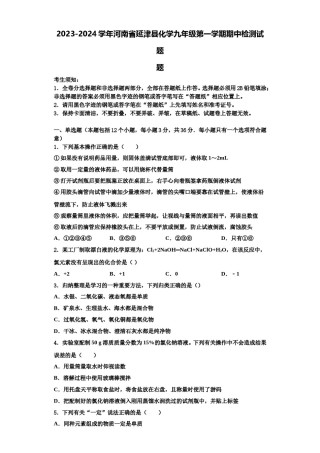 2023-2024学年河南省延津县化学九年级第一学期期中检测试题含解析.doc