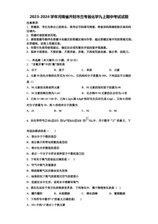 2023-2024学年河南省开封市兰考县化学九上期中考试试题含解析.doc