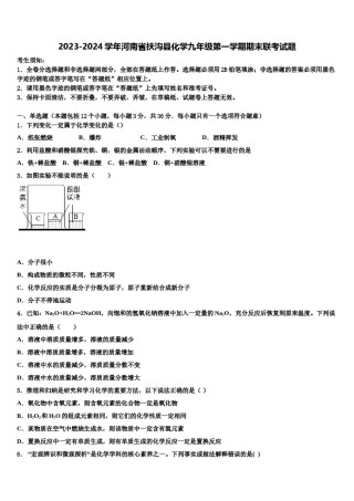 2023-2024学年河南省扶沟县化学九年级第一学期期末联考试题含解析.doc