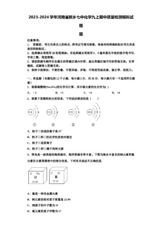 2023-2024学年河南省新乡七中化学九上期中质量检测模拟试题含解析.doc