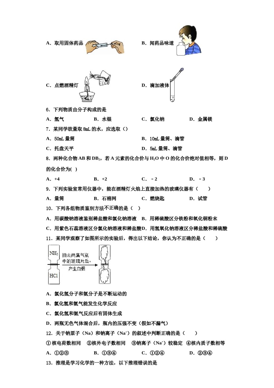 2023-2024学年河南省新乡七中化学九上期中达标检测试题含解析.doc_第2页