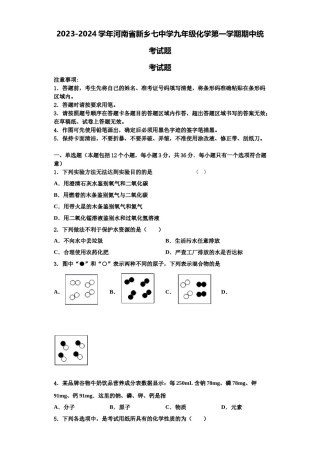 2023-2024学年河南省新乡七中学九年级化学第一学期期中统考试题含解析.doc