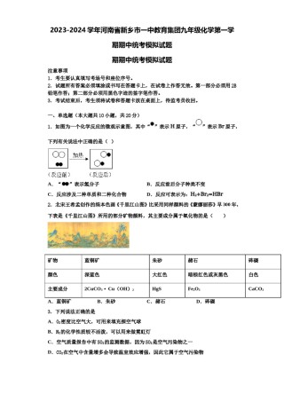 2023-2024学年河南省新乡市一中教育集团九年级化学第一学期期中统考模拟试题含解析.doc