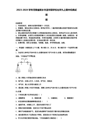 2023-2024学年河南省新乡市清华园学校化学九上期中经典试题含解析.doc