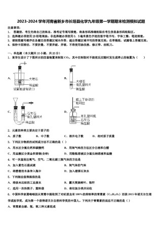 2023-2024学年河南省新乡市长垣县化学九年级第一学期期末检测模拟试题含解析.doc