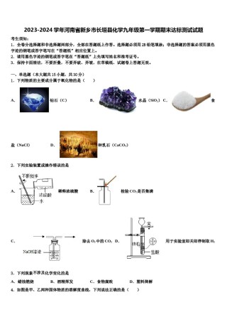2023-2024学年河南省新乡市长垣县化学九年级第一学期期末达标测试试题含解析.doc