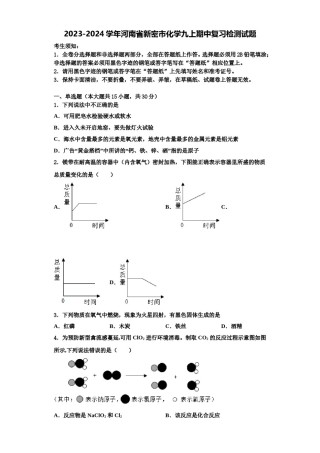 2023-2024学年河南省新密市化学九上期中复习检测试题含解析.doc