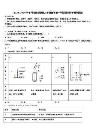 2023-2024学年河南省新蔡县九年级化学第一学期期末联考模拟试题含解析.doc