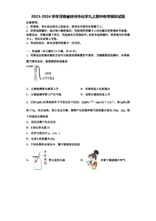 2023-2024学年河南省林州市化学九上期中统考模拟试题含解析.doc