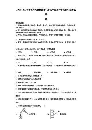 2023-2024学年河南省林州市化学九年级第一学期期中联考试题含解析.doc