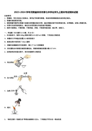 2023-2024学年河南省林州市第七中学化学九上期末考试模拟试题含解析.doc