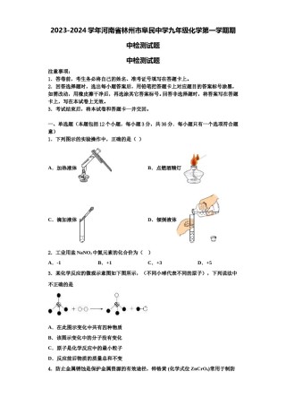 2023-2024学年河南省林州市阜民中学九年级化学第一学期期中检测试题含解析.doc