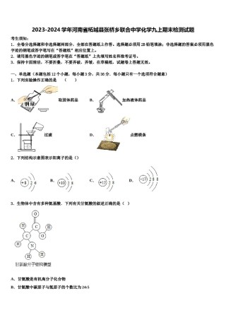 2023-2024学年河南省柘城县张桥乡联合中学化学九上期末检测试题含解析.doc
