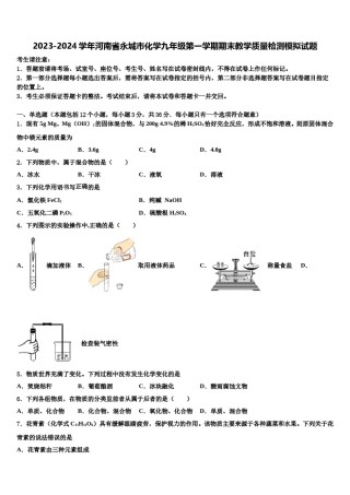 2023-2024学年河南省永城市化学九年级第一学期期末教学质量检测模拟试题含解析.doc