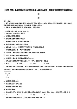 2023-2024学年河南省永城市实验中学九年级化学第一学期期末质量跟踪监视模拟试题含解析.doc