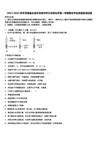 2023-2024学年河南省永城市龙岗中学九年级化学第一学期期末学业质量监测试题含解析.doc