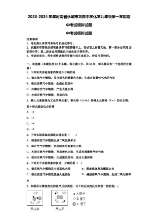 2023-2024学年河南省永城市龙岗中学化学九年级第一学期期中考试模拟试题含解析.doc