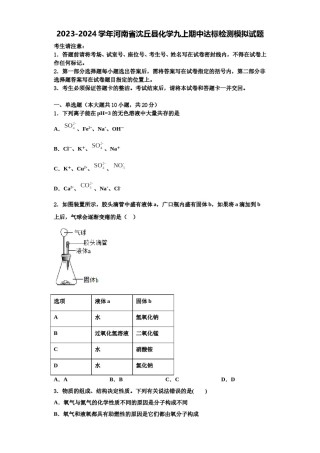 2023-2024学年河南省沈丘县化学九上期中达标检测模拟试题含解析.doc