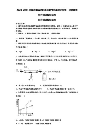 2023-2024学年河南省洛阳嵩县联考九年级化学第一学期期中综合测试模拟试题含解析.doc