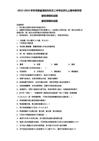 2023-2024学年河南省洛阳市东方二中学化学九上期中教学质量检测模拟试题含解析.doc