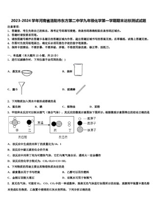 2023-2024学年河南省洛阳市东方第二中学九年级化学第一学期期末达标测试试题含解析.doc