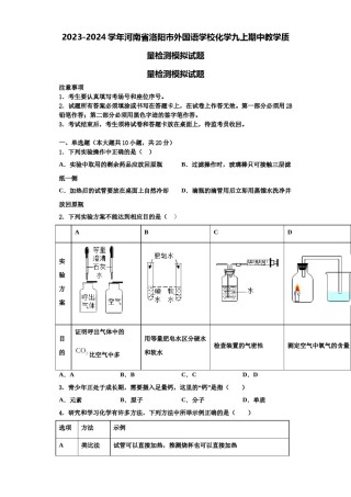 2023-2024学年河南省洛阳市外国语学校化学九上期中教学质量检测模拟试题含解析.doc