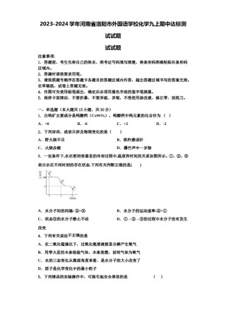 2023-2024学年河南省洛阳市外国语学校化学九上期中达标测试试题含解析.doc