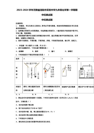 2023-2024学年河南省洛阳市实验中学九年级化学第一学期期中经典试题含解析.doc