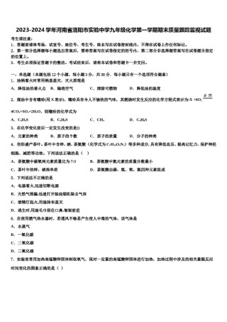 2023-2024学年河南省洛阳市实验中学九年级化学第一学期期末质量跟踪监视试题含解析.doc