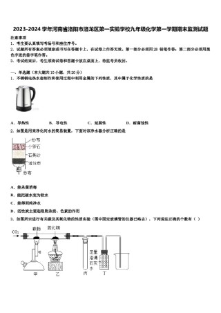 2023-2024学年河南省洛阳市洛龙区第一实验学校九年级化学第一学期期末监测试题含解析.doc