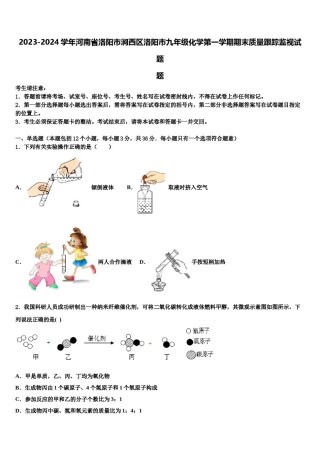 2023-2024学年河南省洛阳市涧西区洛阳市九年级化学第一学期期末质量跟踪监视试题含解析.doc