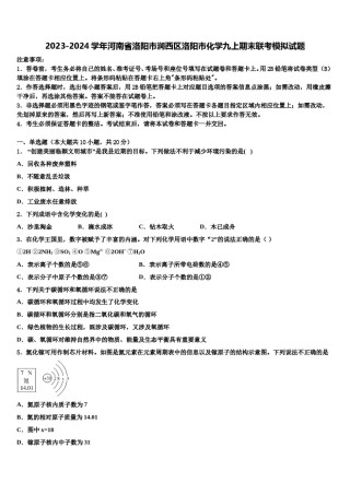 2023-2024学年河南省洛阳市涧西区洛阳市化学九上期末联考模拟试题含解析.doc