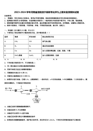 2023-2024学年河南省洛阳洛宁县联考化学九上期末监测模拟试题含解析.doc