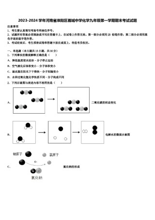 2023-2024学年河南省淮阳区羲城中学化学九年级第一学期期末考试试题含解析.doc
