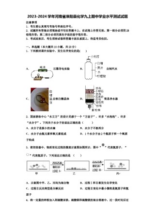 2023-2024学年河南省淮阳县化学九上期中学业水平测试试题含解析.doc