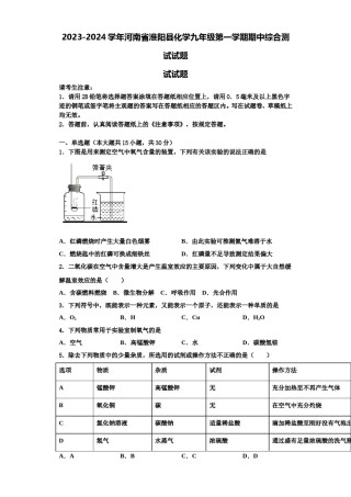 2023-2024学年河南省淮阳县化学九年级第一学期期中综合测试试题含解析.doc