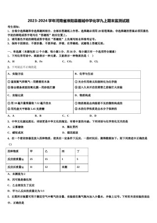 2023-2024学年河南省淮阳县羲城中学化学九上期末监测试题含解析.doc