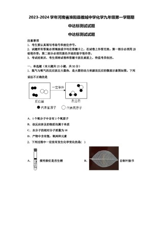 2023-2024学年河南省淮阳县羲城中学化学九年级第一学期期中达标测试试题含解析.doc