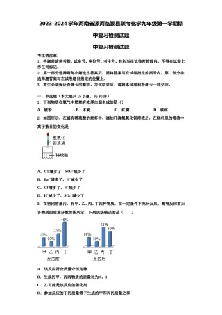 2023-2024学年河南省漯河临颍县联考化学九年级第一学期期中复习检测试题含解析.doc