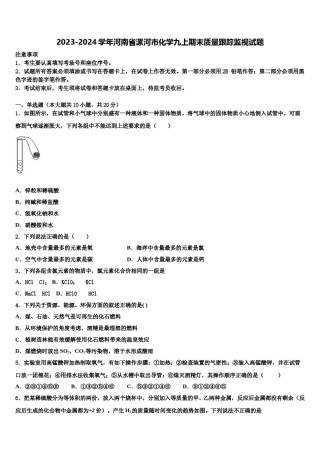 2023-2024学年河南省漯河市化学九上期末质量跟踪监视试题含解析.doc