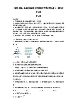 2023-2024学年河南省漯河市召陵区许慎中学化学九上期中联考试题含解析.doc
